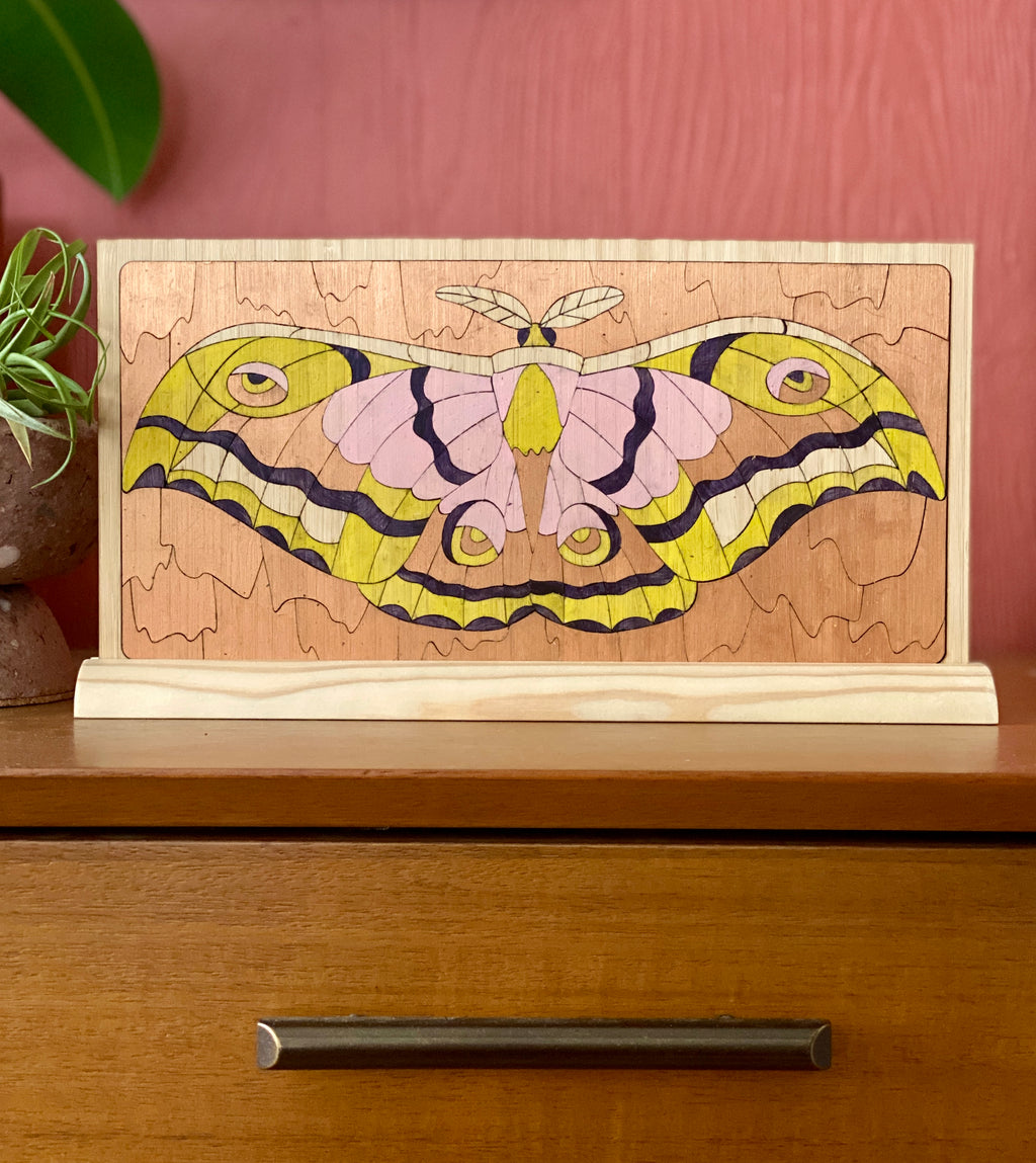Metallic Moth