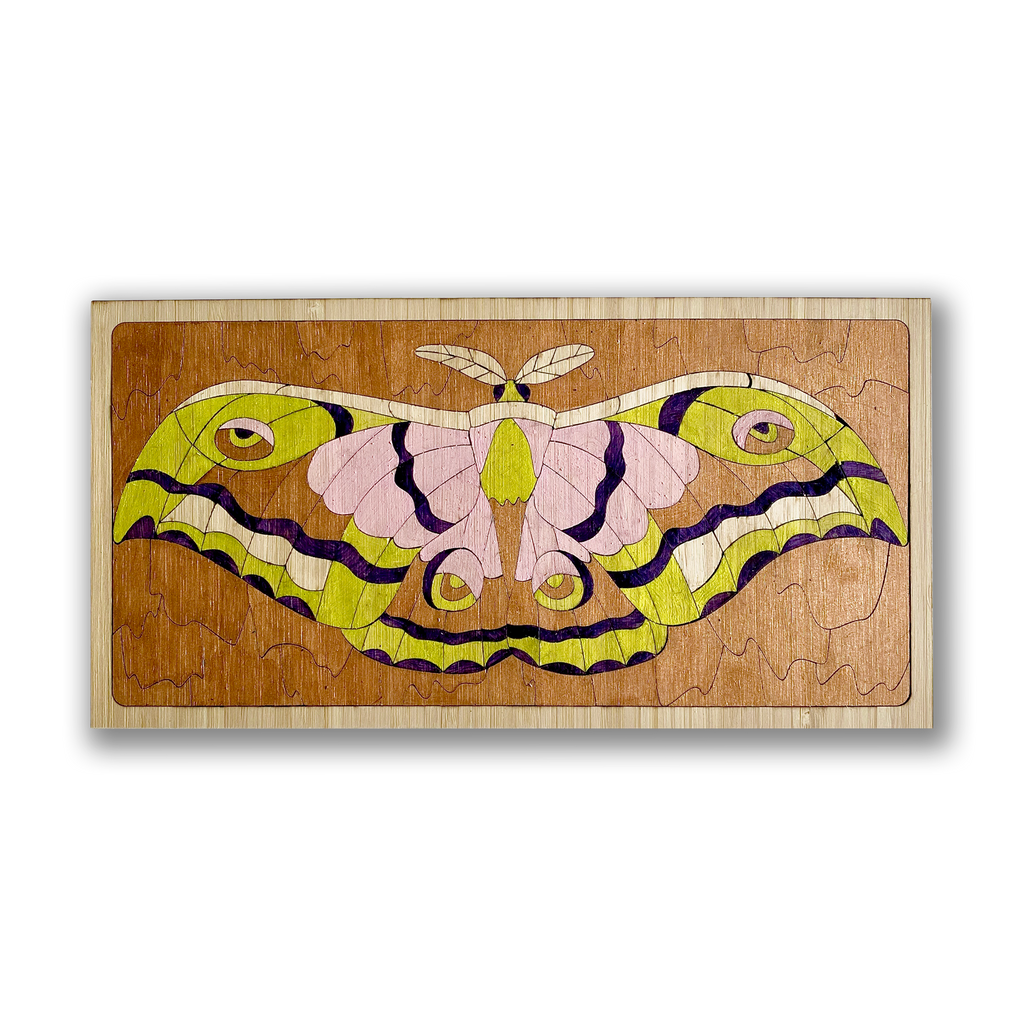 Metallic Moth