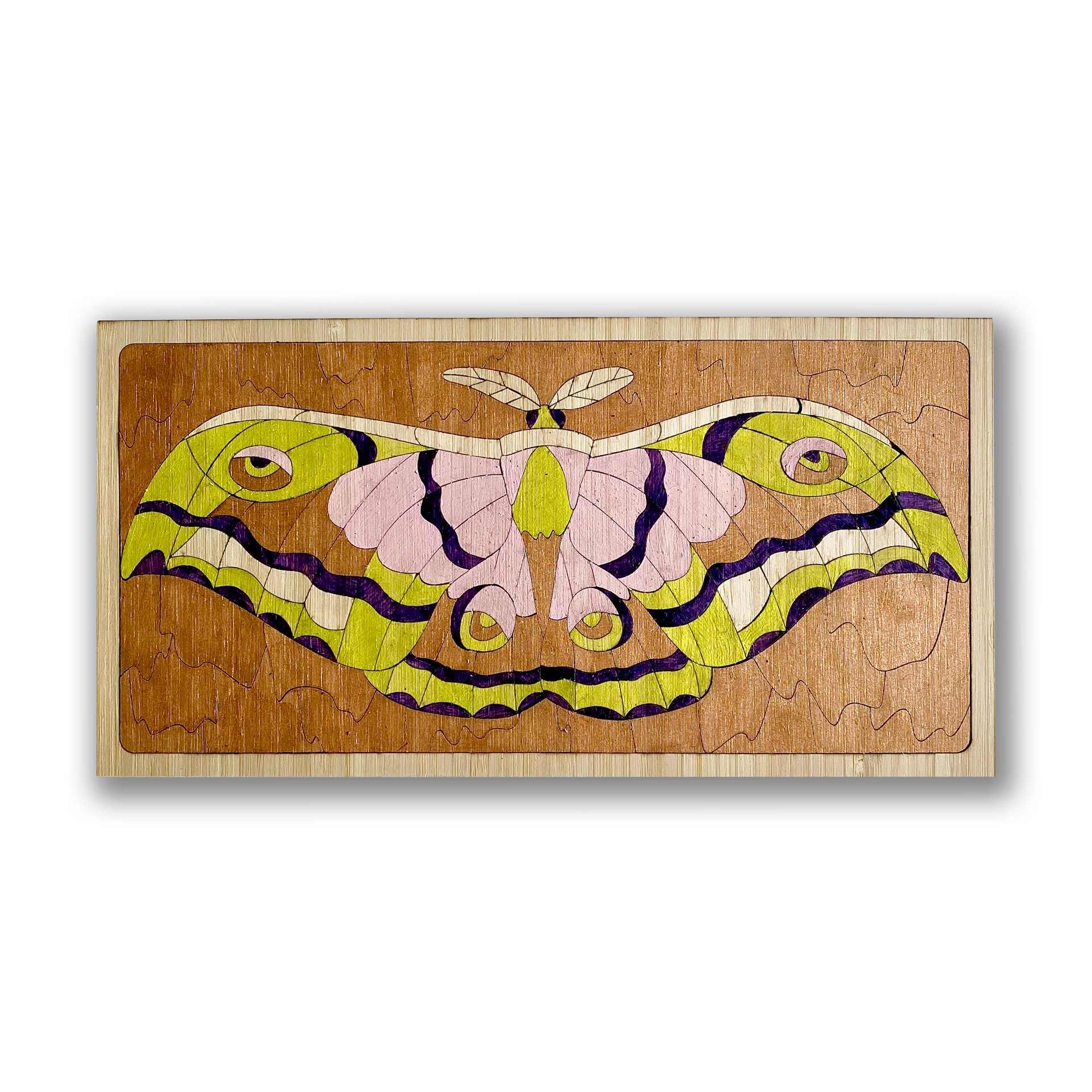 Metallic Moth